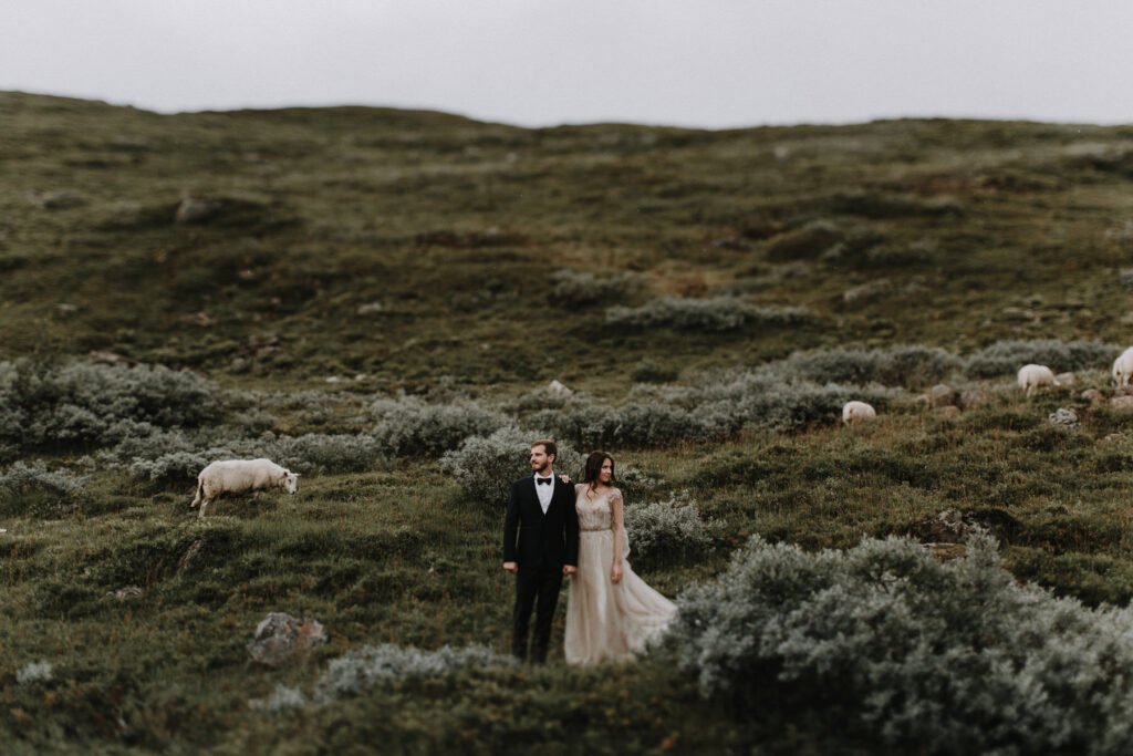 Adventurous Engagement in the Highlands of Norway